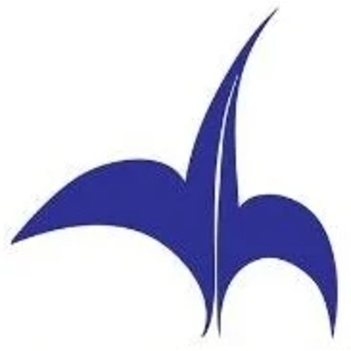 Vi̇zyon Havacilik Logo